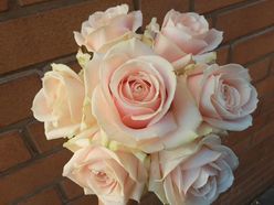 Brautstrauß Rosen - Blumen Lennartz